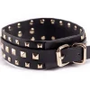 Fetish Luxe PU Studded Bondage Collar & Lead