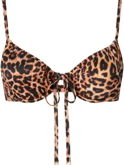 Knickerbox Swim Collections Animal Wired Bikini Top - Multi
