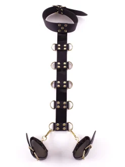 Signature Faux Leather Neck to Wrist Restraint