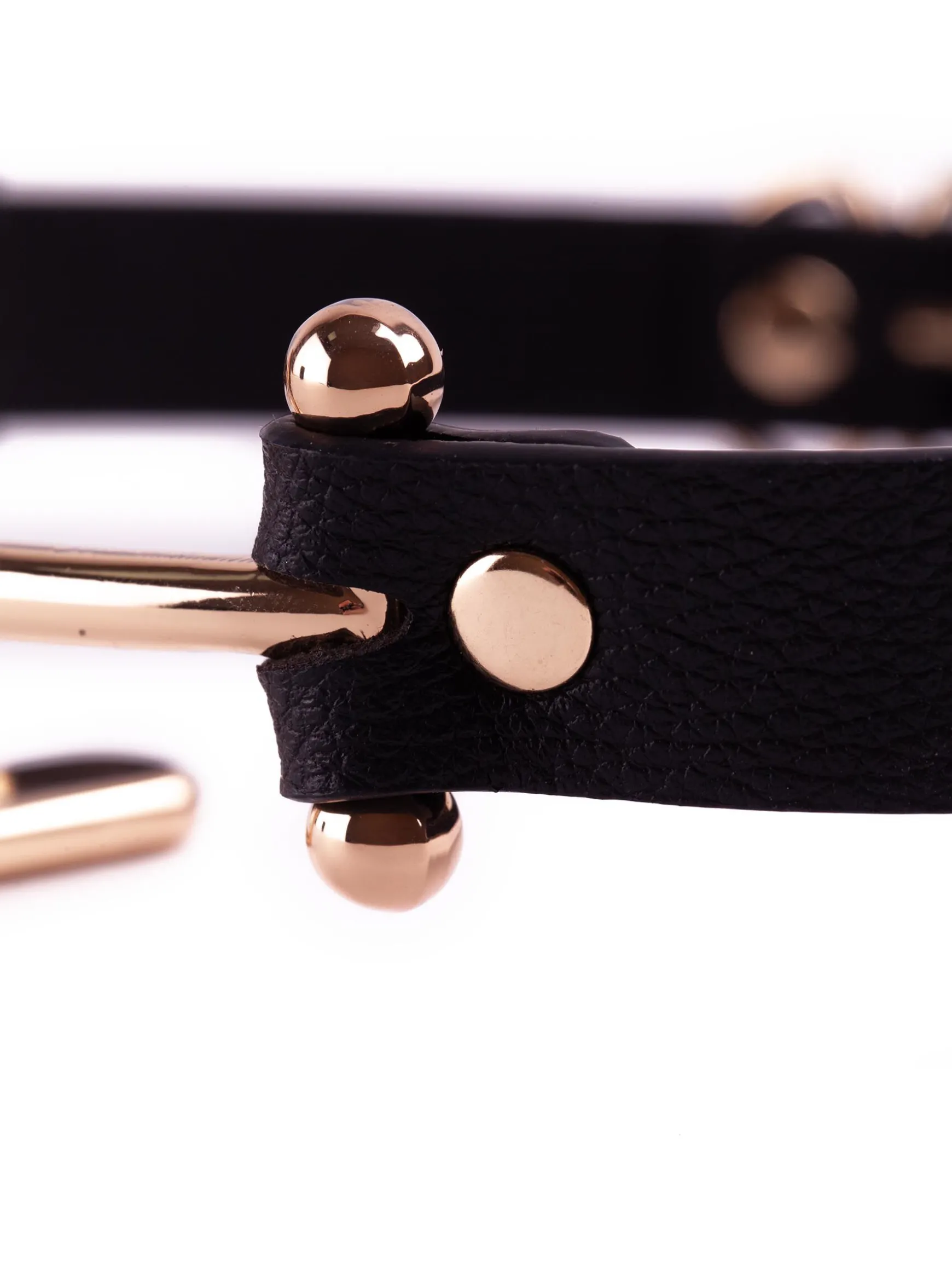 Signature O Ring Gag
